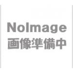 【5個セット】 サンワサプライ Noble Wedgeスロット対応 セキュリティワイヤー・シリンダ錠 2.0m(シルバー) SLE-35S